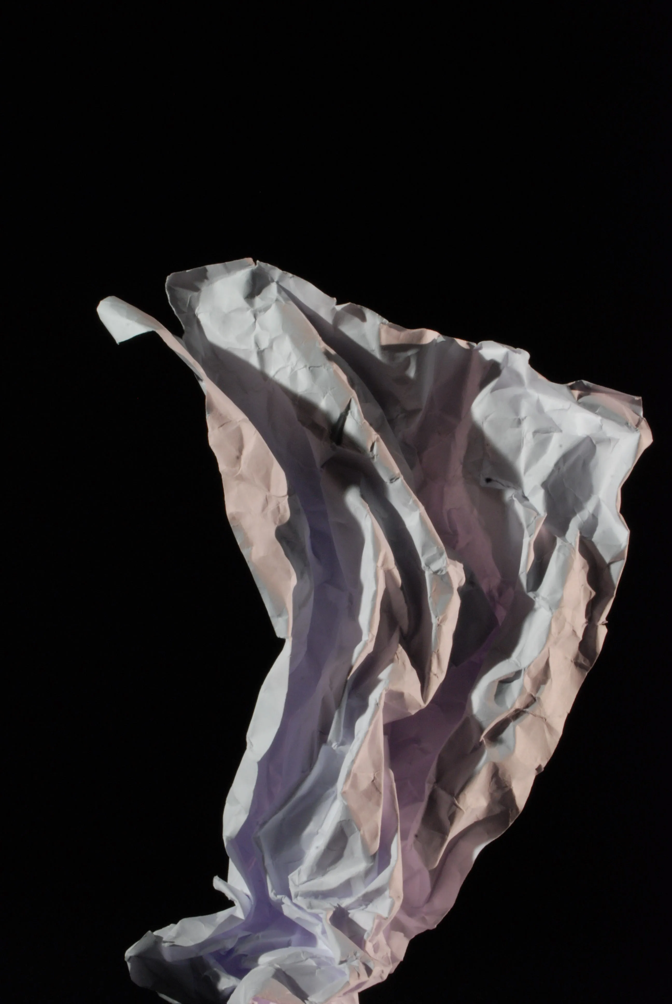 A thumbnail image of Photographic Study